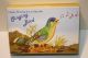 Blechspielzeug - Singender Vogel Singing Bird Mit Federwerk Gefertigt nach 1970 Bild 5