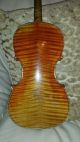 Alte Violine Saiteninstrumente Bild 1