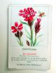 Antikes Blumen Quartett Chromolithographien Kompl.  Emil Ernst Heinsdorff Selten Gefertigt vor 1945 Bild 8