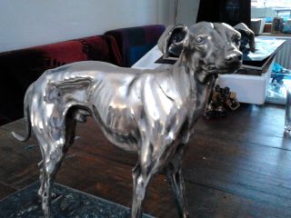 Skulptur Windhund Stehend Versilbert 1930er Jahre Ca.  30x20cm Greyhound Bild
