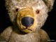 Alter Teddy Teddybär Bär Mit Glasaugen Stofftiere & Teddybären Bild 6