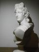 Apollo Büste Griechisch Skulptur Alabaster - 32cm Vor 1900 Bild 4