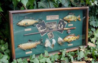 Dekorativer Älterer Angler Schaukasten Mit Miniatur Fischfang Devotionalien Bild