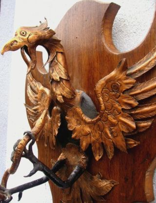 Antikes Holz Schild Kupfer Ader Mit Schlange 19jhd Handgetrieben Wappen Skulptur Bild