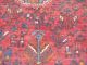 Antiker Perserteppich Gashgai/ Ghaschghaie 295x212cm Antique Carpet,  Tapis Nr.  260 Teppiche & Flachgewebe Bild 8