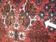 Antiker Perserteppich Josheghan/ Meyme 330 X 270 Antique Carpet,  Tapis Nr.  262 Teppiche & Flachgewebe Bild 8