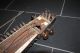 Schönes Altes Antikes Instrument (sarangi) Aus Tibet / Himalaya 70 Cm Hoch Saiteninstrumente Bild 2
