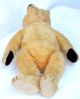 50er Jahre Teddy Steiff,  Blond,  Ca.  45 Cm Steiff Bild 3