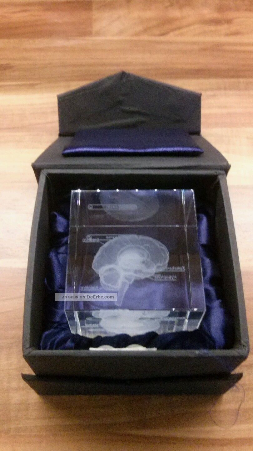 Glas - Würfel - Briefbeschwerer Mit Abbildung Des Gehirns. Dekorglas Bild