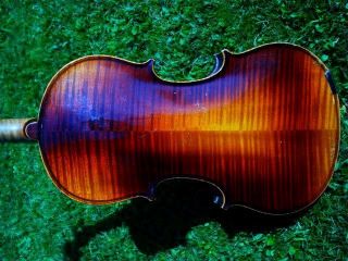 Schöne Violine M.  Zettel 