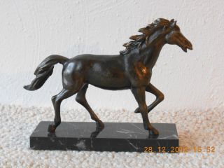 Bronze,  Pferd,  Fohlen,  Hengst,  Im Vollen Galopp Bild