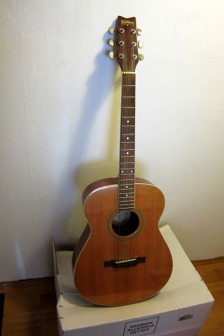 Gitarre _ Washburn F - 21 S _ca.  1995 _folk Style_top Acoustic Guitar Bild