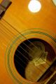 Gitarre _ Washburn F - 21 S _ca.  1995 _folk Style_top Acoustic Guitar Saiteninstrumente Bild 3