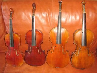 4 Alte Geigen 4 Antique Violins 4 Old Violins Bild