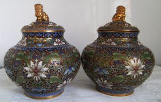Cloisonné Vase - Paar Messing Sehr Schön Deckelgriff Fohund Vergoldet Bild