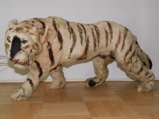 Antik 75cm Taxidermy Toy Tiger Victorian Antiker Tiger Fell Um 1830 - 1900 Bild