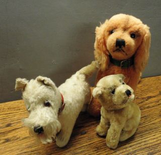 Konvolut Steiff Hunde,  Mops Mopsi,  Seltener Terrier (knopf),  Cockerspaniel Susi Bild