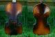 6 Alte Geigenkorpusse Tls.  Mit Zetteln Musikinstrumente Bild 1