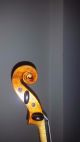 Alte Bratsche 41cm Viola Old Viola Geige Cello Violoncello Mit Zettel Musikinstrumente Bild 6
