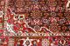 Handgeknüpfter Rosen Biedjar / Herati Orient Teppich Rug Carpet 214x137cm 4693 Teppiche & Flachgewebe Bild 6