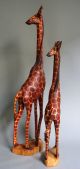 2 Giraffen Jacaranda Holz Ostafrika,  Kenia,  2 Kalebassenschalen/kÜrbis,  Kenia Entstehungszeit nach 1945 Bild 3
