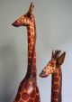 2 Giraffen Jacaranda Holz Ostafrika,  Kenia,  2 Kalebassenschalen/kÜrbis,  Kenia Entstehungszeit nach 1945 Bild 5