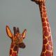2 Giraffen Jacaranda Holz Ostafrika,  Kenia,  2 Kalebassenschalen/kÜrbis,  Kenia Entstehungszeit nach 1945 Bild 6