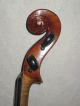 3 Tage ältere Mittenwalder Violine Geige Franz Reindl Musikinstrumente Bild 10