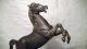 Alte Figur,  Skulptur,  Metall Pferd,  Hengst Auf Holz Sockel,  28 Cm,  1,  8 Kg,  Antik 1900-1949 Bild 3