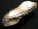 7000j.  A: Schlagstein Hammer Fossilien Retuscheur Steinzeit Mesolithikum Antike Bild 5