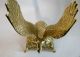 Adler Aar Messing Großer Adler Figur Standfigur Dekorativer Adler Höhe 26 Cm Gefertigt nach 1945 Bild 14