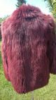 Blaufuchs Jacke,  Pelzjacke,  Pelzmantel,  K.  Silberfuchs,  Pelz.  K.  Nerz,  Fuchs;gr.  36 - 38 Kleidung Bild 1