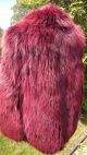 Blaufuchs Jacke,  Pelzjacke,  Pelzmantel,  K.  Silberfuchs,  Pelz.  K.  Nerz,  Fuchs;gr.  36 - 38 Kleidung Bild 3