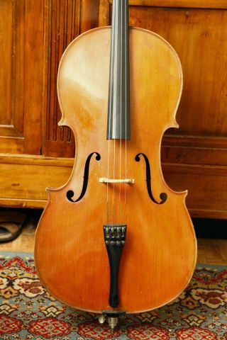 Altes Erstklassiges 4/4 Meister Cello München Ca.  1920 Spielfertig Klangprobe Bild