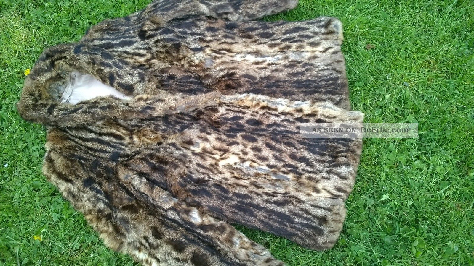 Pelzjacke,  Pelzmantel;pelz.  Kaninchen,  K.  Nerz,  K.  Blaufuchs,  Fuchs,  34 - 36 - 38 Kleidung Bild