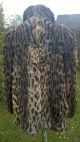 Pelzjacke,  Pelzmantel;pelz.  Kaninchen,  K.  Nerz,  K.  Blaufuchs,  Fuchs,  34 - 36 - 38 Kleidung Bild 4