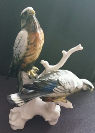 Große Ens Thüringer Porzellan,  Figur,  Vogel,  Falke, Bild