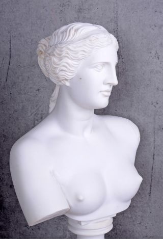 Marmor Alabaster Büste Frauenkopf Venus Von Milo Frauenbüste Antike Bild