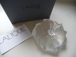 Lalique Paperweight Blüte Bild