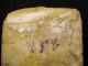5400j.  A: Toll Beil Als Handaxt Steinzeit Neolithikum Feuerstein Megalithgrab K Antike Bild 4