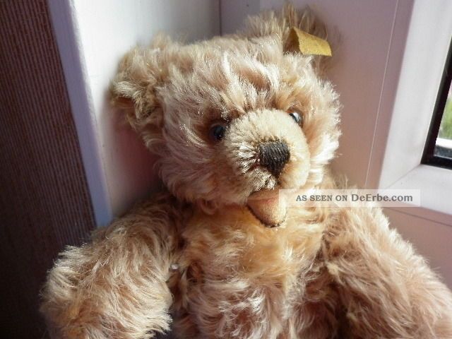 Süsser Steiff Zotty 22 Cm Aus Den 50er J.  Knopf U.  Fahne Steiff Bild