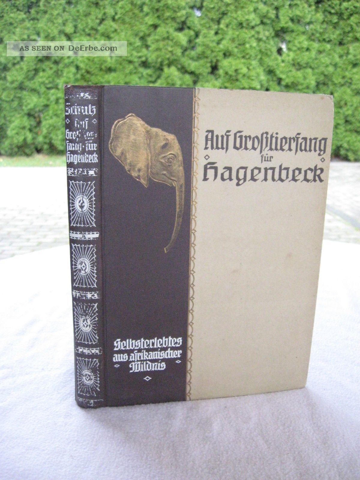 Buch Auf Großtierfang Für Hagenbeck.  Chr.  Schulz.  1921 Safari Jagd Großwildjagd Antiquitäten & Kunst Bild