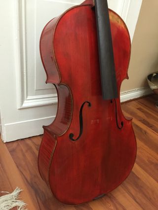 Handmade 4/4 Cello French Red Europäisches Violoncello Handgefertigt Bild