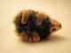 Schuco Igel / Hedgehog,  Arche Noah,  Miniatur 3,  5cm Hoch,  Selten Stofftiere & Teddybären Bild 2