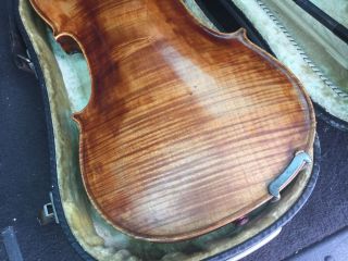Alte Geige Old Violin Nicolatis Simoutre Lupot Nicolai Discipulus Divoduri 1835 Bild