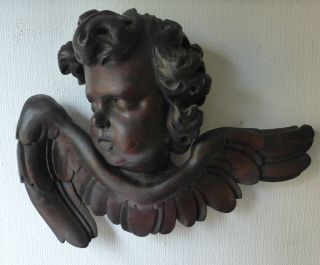 Antiker Engel Engelskopf 18.  Jhd.  Großer Geflügelter Putto Engelskopf Engel Bild