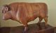 Alte Holz Figur,  