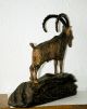 Steinbock,  Top - Skulptur,  Figur,  Holzschnitzerei Holzarbeiten Bild 4