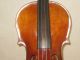 3 Tage ältere Violine.  Michael Reindl Mittenwald 1935 Musikinstrumente Bild 2
