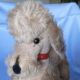 Steiff Cosy Snobby,  K,  F,  26 Cm/ Steiff Cosy Snobby,  B,  F,  26 Cm Steiff Bild 5